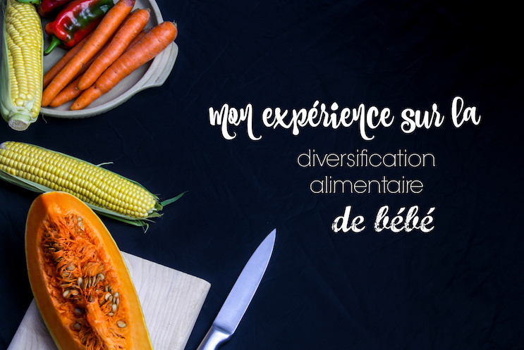 Mon expérience sur la diversification alimentaire de bébé - Le Blog de  Néroli