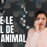 Faire le deuil de son animal