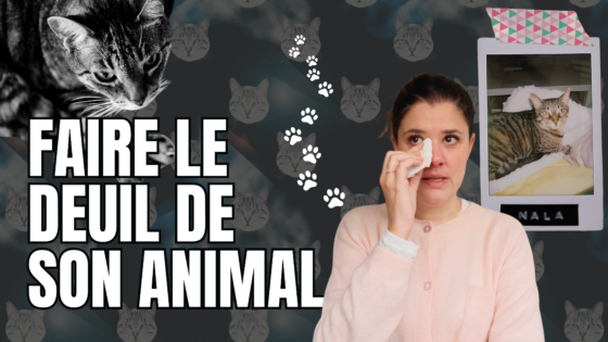 Faire le deuil de son animal